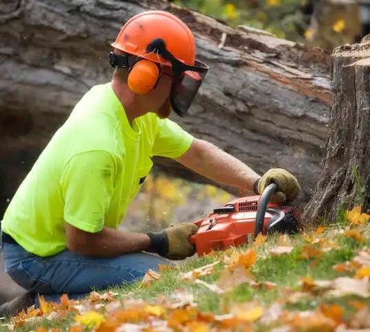 tree services Newton